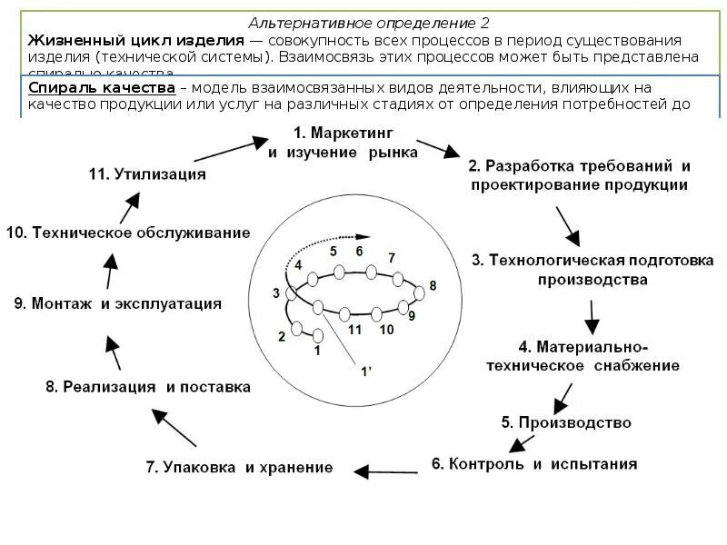 Жизненный цикл определение