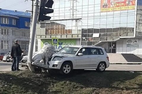 Дтп льва
