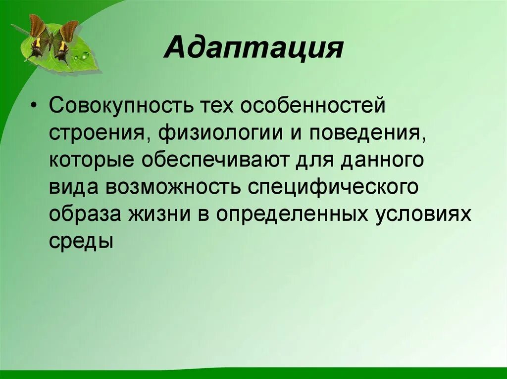 Адаптация это совокупность