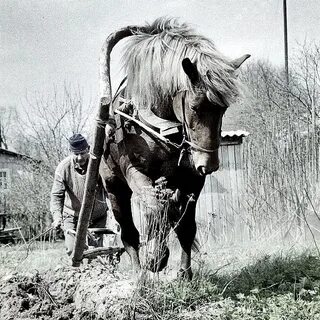 Песня пахать