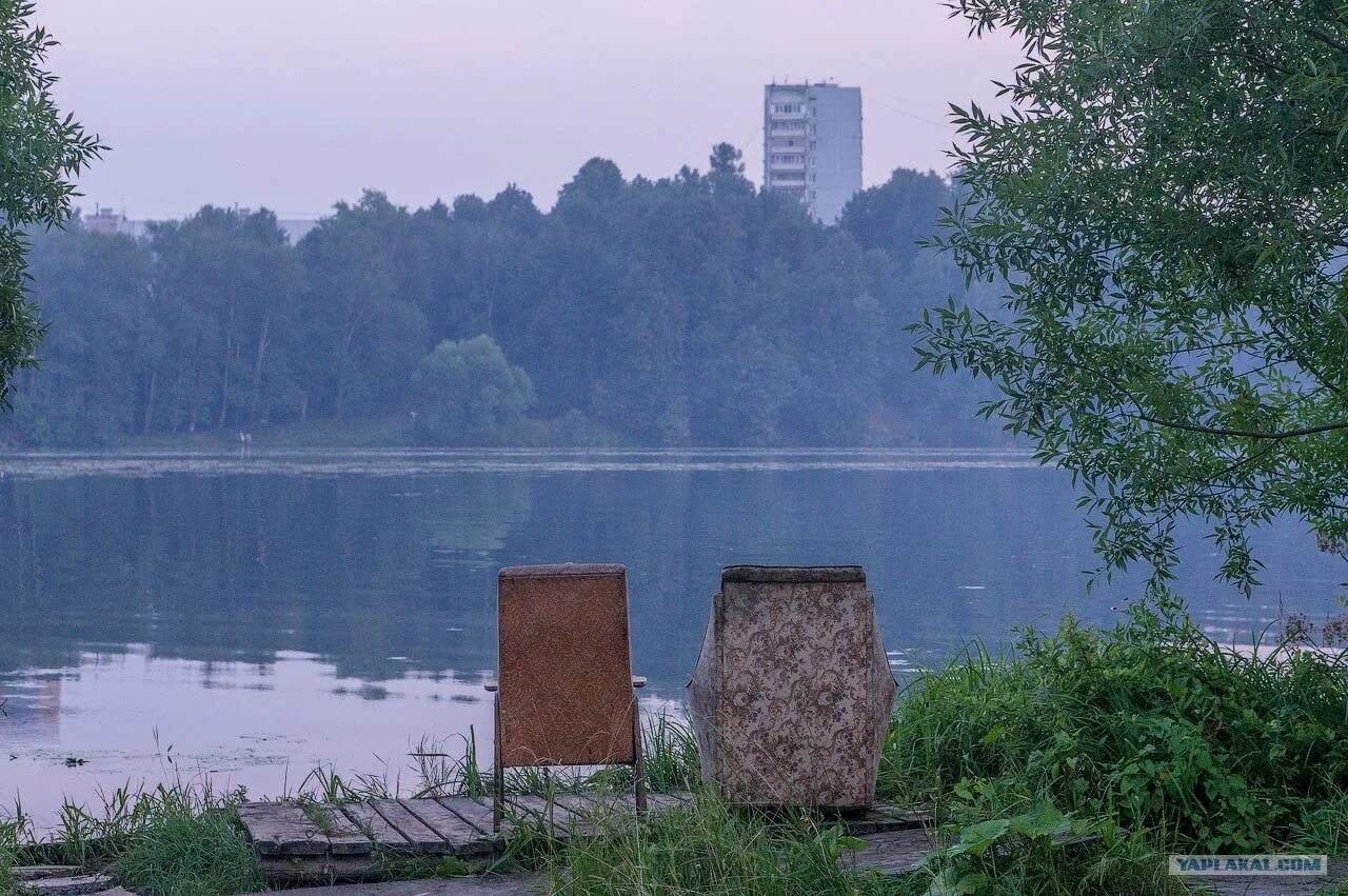 Лианозово хлебниково. Островок Долгопрудный. Парк островок Долгопрудный. Остров в Долгопрудном. Долгопрудный пляж.