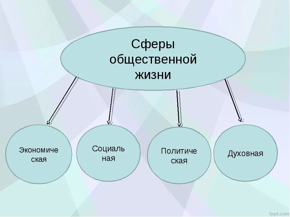 Примеры сфер общественной жизни 6 класс. Сфнраы общественный жизни. Сфкер ыобщественной жизни. Сферы общественной жизни схема. Основные сферы социальной жизни.