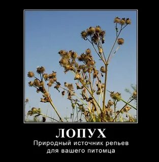 Во всяком случае без