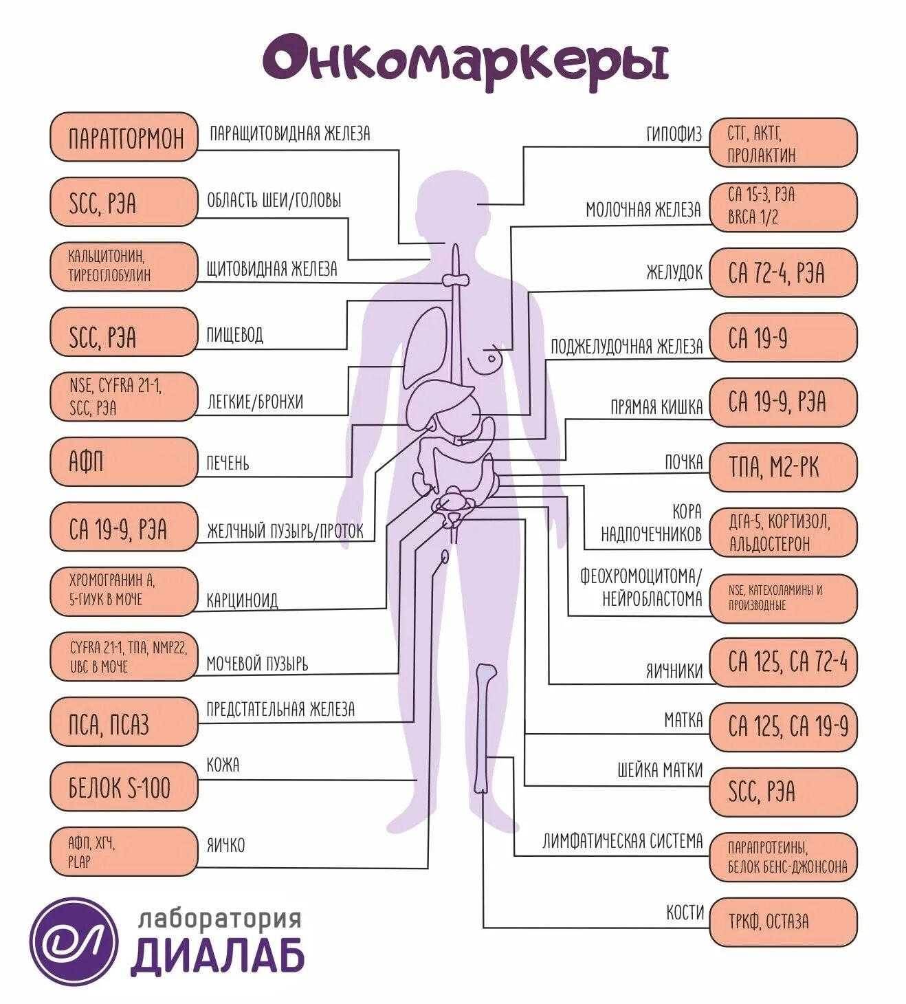 Онкомаркеры. Онкомаркеры для женщин. Онкомаркеры для женщин таблица. Онкомаркеры рисунок. Онкомаркер лимфоузлов