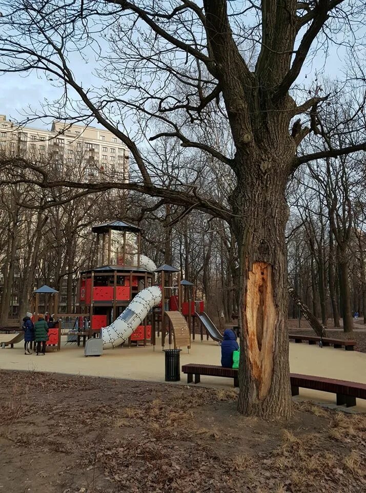 Парк дубки тимирязевская. Парк дубки в тимирязевском районе. парк дубки дубнинская улица. парк дубки тимирязевская горки.