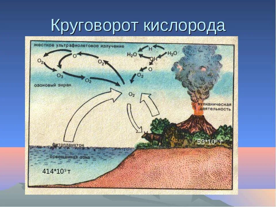 Круговорот кислорода процессы. Круговорот кислорода (по е. а. Криксунову и др., 1995). Круговорот кислорода в природе. Круговорот кислорода схема. Кислород в природе схема.