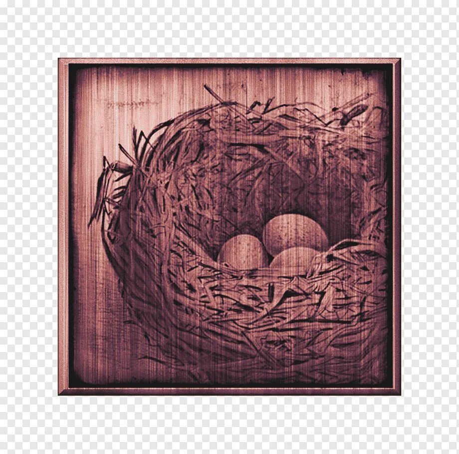 Nest create