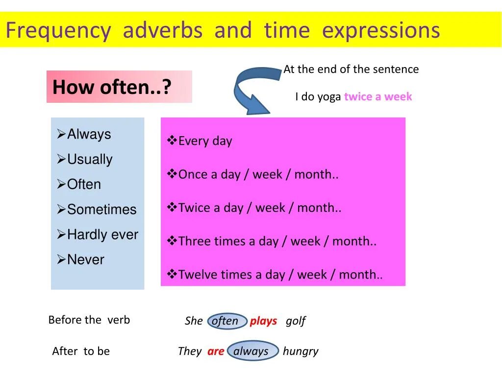 Наречия частотности в английском. Adverbs and expressions of Frequency. Наречия частотности в present simple. Adverbs of Frequency. Adverbs of frequency in the sentence