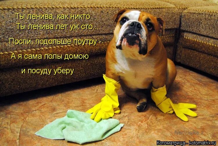 достоевский пройдите мимо нас и простите нам наше счастье. мимо товарищ. веселые надписи в туалет. открытка хорошего дежурства. если вам со мной не нравится то мимо товарищи мимо.