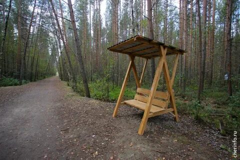 Тропа здоровья череповец зашекснинский