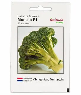 Капуста сорт монако