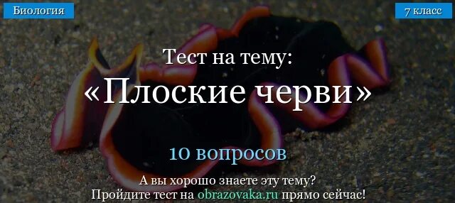 Плоские черви. Тест плоские черви. Плоские черви тест 7 класс биология. Тест по теме черви. Контрольная по биологии черви