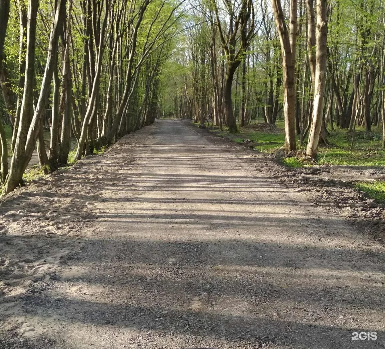 Ашман парк. Парк ашмана в калининграде. макс ашман парк калининград. парк макса ашманна, калининград апрель. озеро лесное ашман парк калининград.
