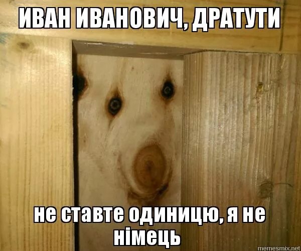 дратути картинки смешные