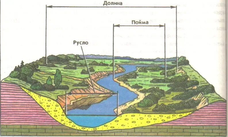 Ширина русла рек. Долина Пойма и русло реки. Строение Речной Долины (русло, Пойма, надпойменные террасы, Старица). Русло реки Пойма Речная Долина. Строение реки русло Пойма.