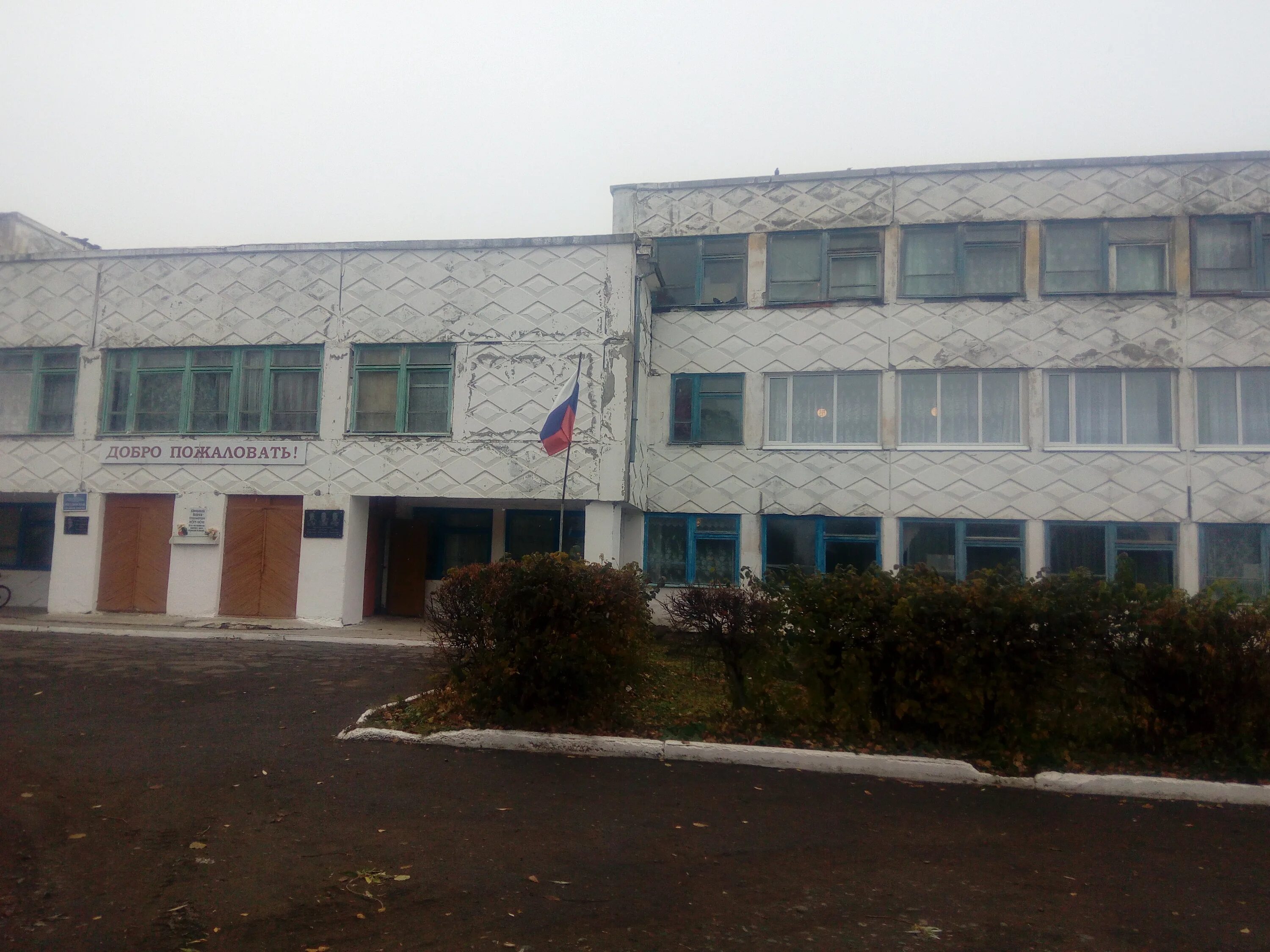 Рп5 звездино. Рп5 звездино