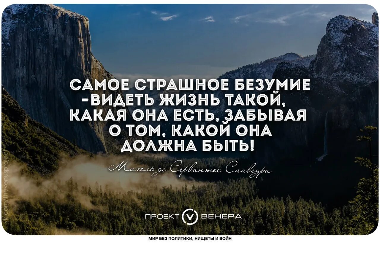 Глупый увидеть. Самые страшные цитаты. Страшно цитаты. Безумство цитаты. Афоризмы.