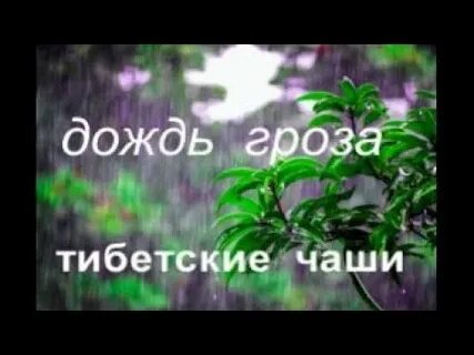 Шум дождя для сна пение птиц