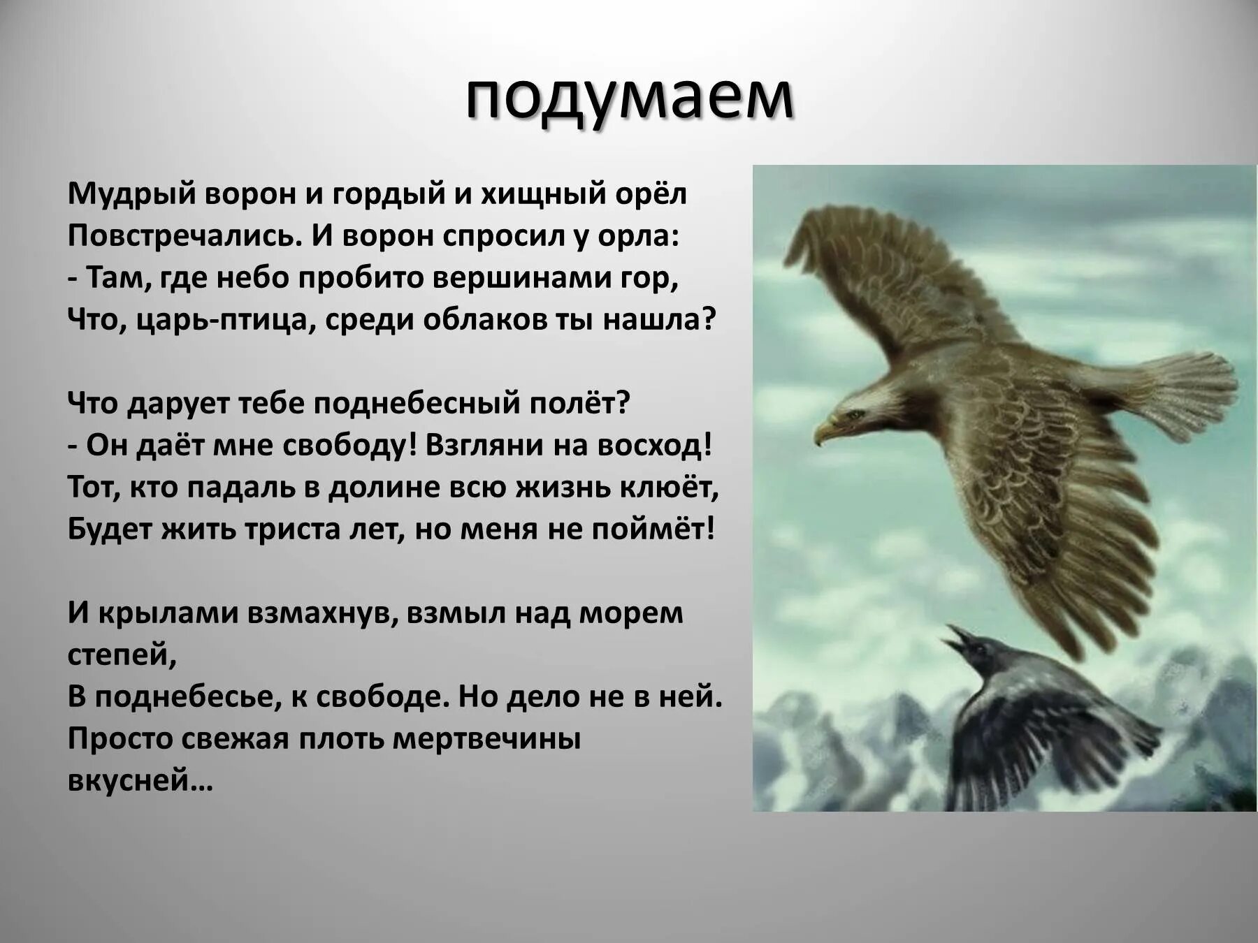 Песня птица гордая. Сказка Орел и ворон. Стих про орла. Сказка об Орле и вороне. Орел и ворон притча.