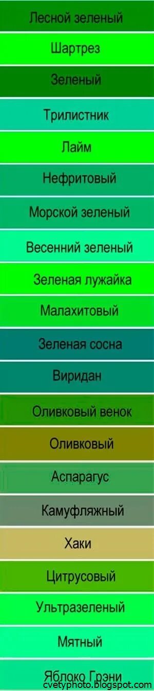 Где находится зеленый цвет. Оттенки зелёного цвета. зеленый цвет названия. зелёные оттенки цветов названия. названия всех оттенков зеленого.