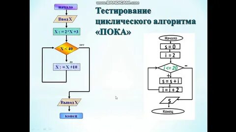 Тест циклические алгоритмы