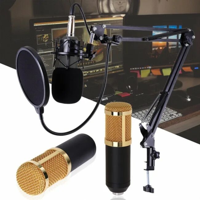 Микрофон bm. Конденсаторный микрофон bm800. студийный микрофон bm-800. bm 800 микрофон. конденсаторный микрофон bm800 pro.