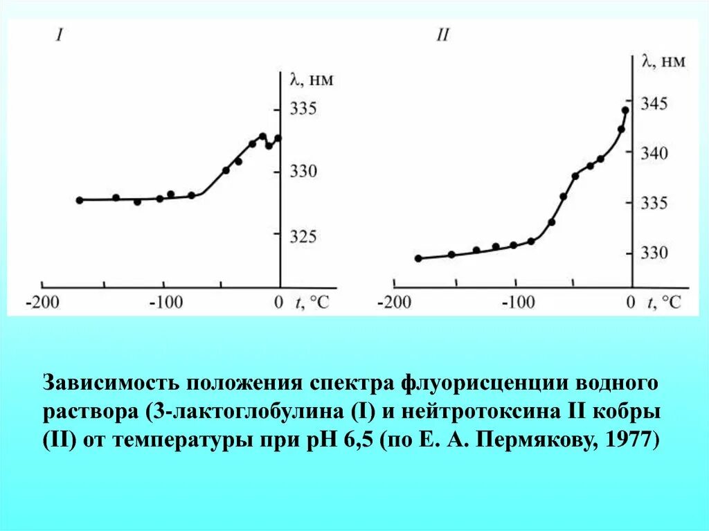 Зависимое положение. Зависимое положение это. схема уровней флуорисценция. ph лактоглобулина.