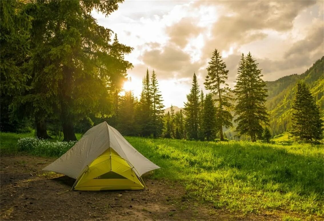 Outdoor camp. Палатка на природе. Туристическая палатка на природе. Фон природа палатка. Кемпинг в лесу с палатками.