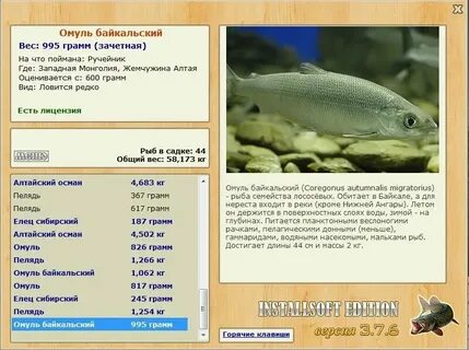 Реальная рыбалка хариус черный