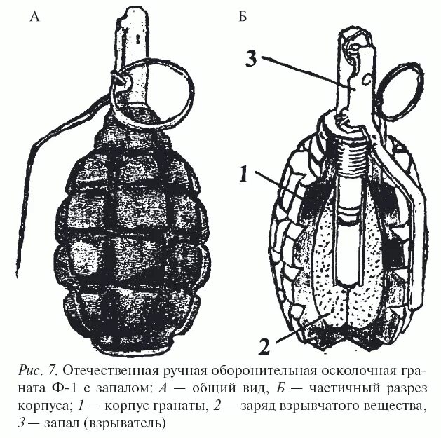 Как отличить граната. Граната РГД-5 схема. Граната РГД 5 чертеж. Устройство гранаты ф1. Ф1 граната чертеж.