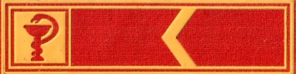 Лычка командира лсо. Лычка отряда. Лычка комиссара лсо. Лычка лсо рсо. Лычка комиссара лсо.