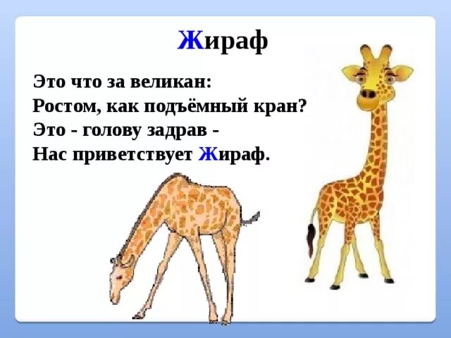 Почему стихотворение названо жираф. Стишок про жирафа для детей. Загадка о жирафе. Жираф стихи для детей. Загадка про жирафа для детей.