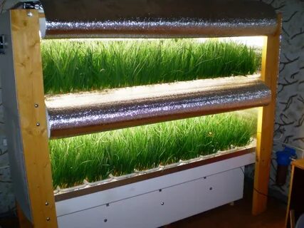 Домашняя ферма для выращивания зелени