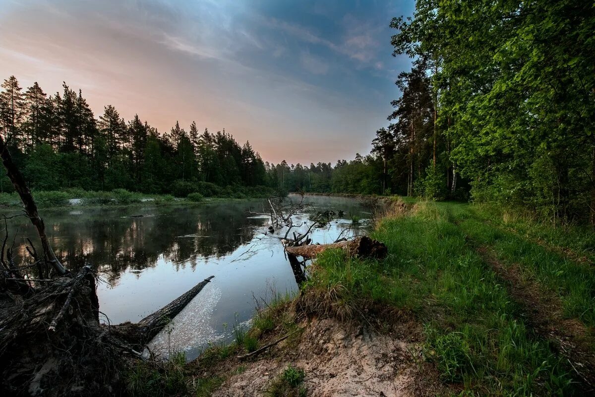 Река пра Мещера. Пра река Рязань. Река пра Мещерский заповедник. Река пра Рязанская.