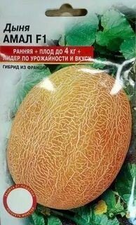Дыня амал