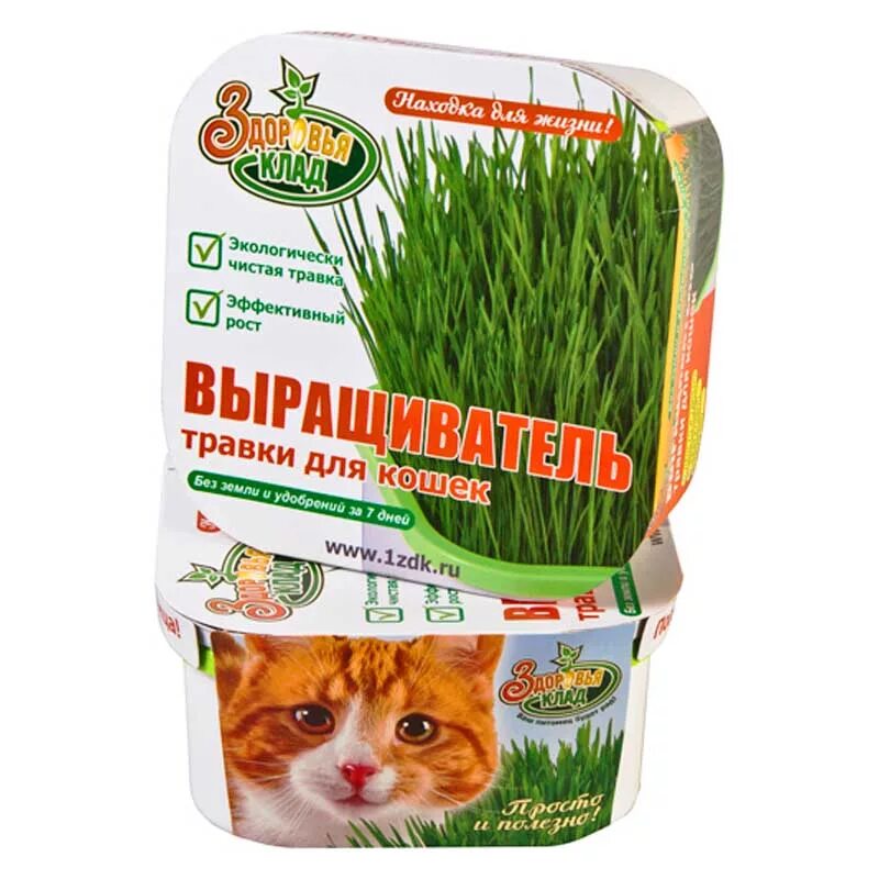 Лекарственные травы. Петрушка укроп базилик мелисса эстрагон. Травки для здоровья. Травяные лекарства. Лекарственные травы.