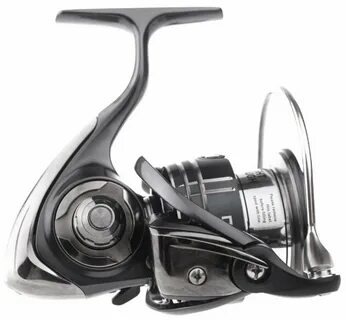 N zon daiwa