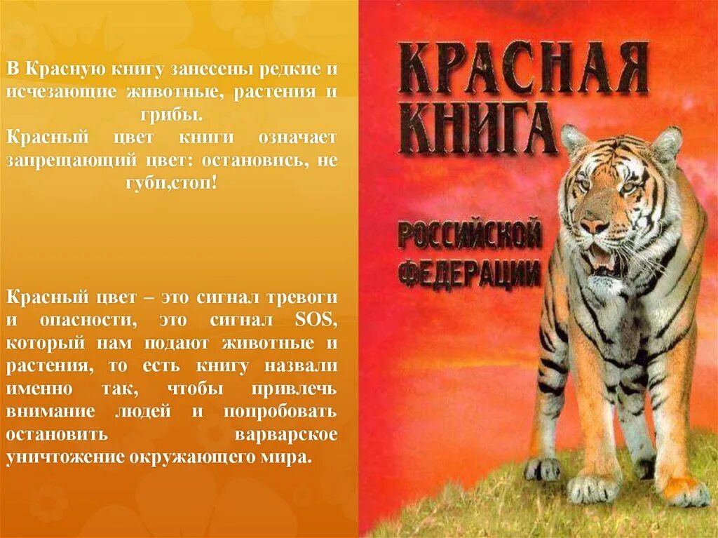 Образцы красной книги. Красная книга России. Животные. Животное красной книги России. Живот красной книги России. Животные из красной КГЕ.