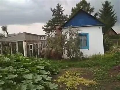 Дачи заринск