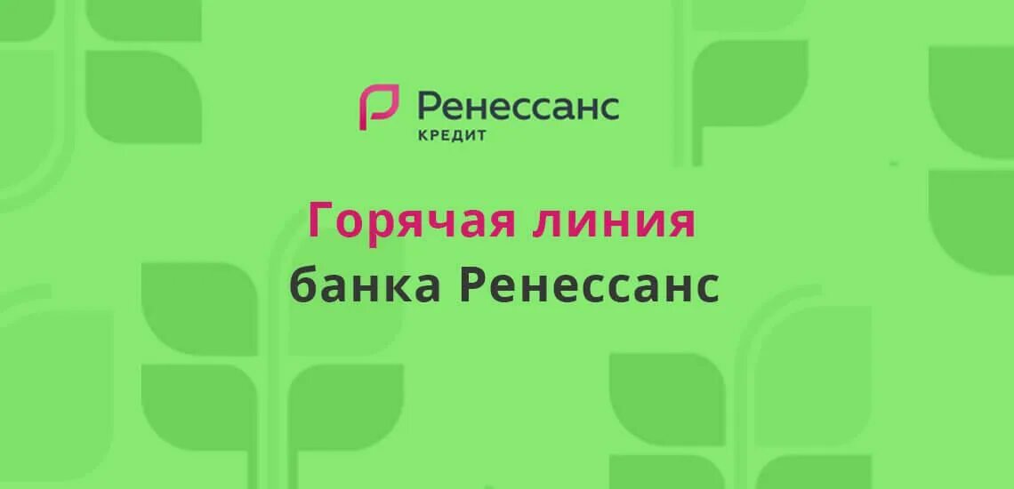 Банк ренессанс кредит горячая линия. Ренессанс горячая линия номер телефона. Ренессанс банк горячая линия. Ренессанс кредит горячая линия. Номер ренессанс банка.