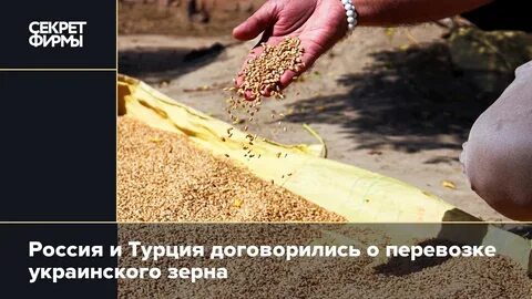 Секрет зерен