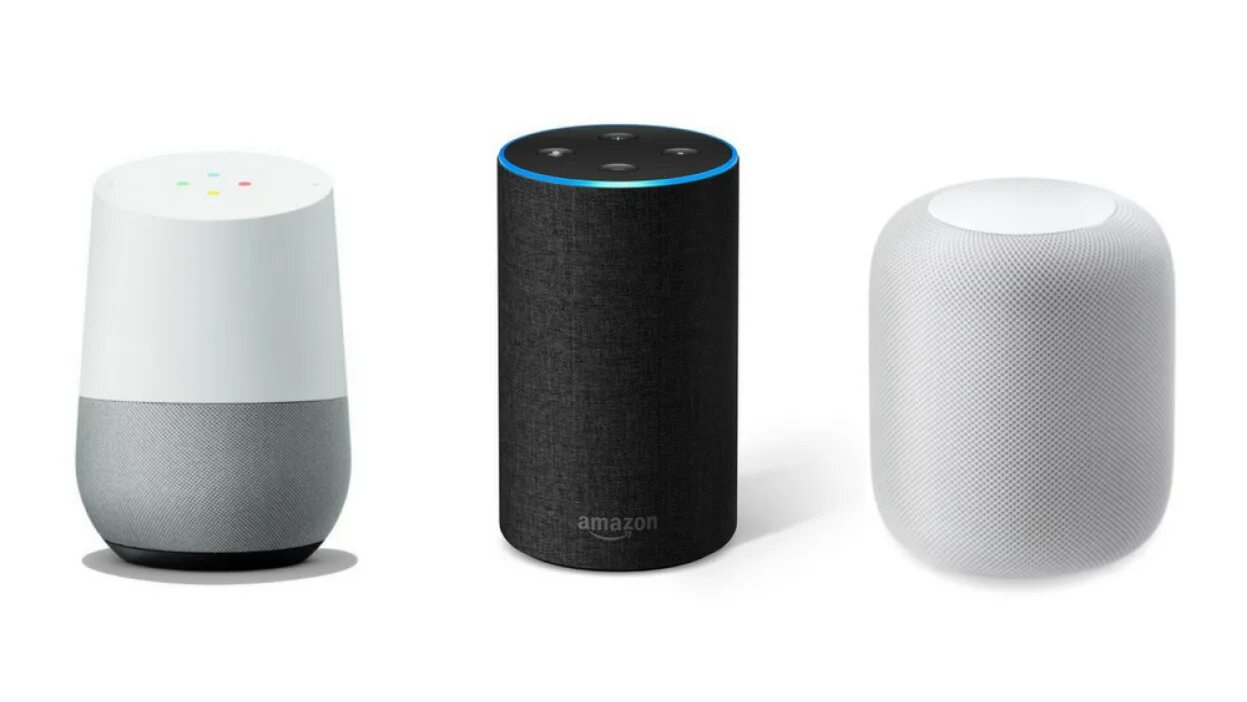 Alexa google assistant. Google alexa. alexa smart speaker. amazon smart speaker.