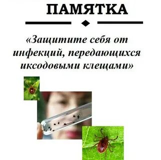 Передаваемый клещом инфекция