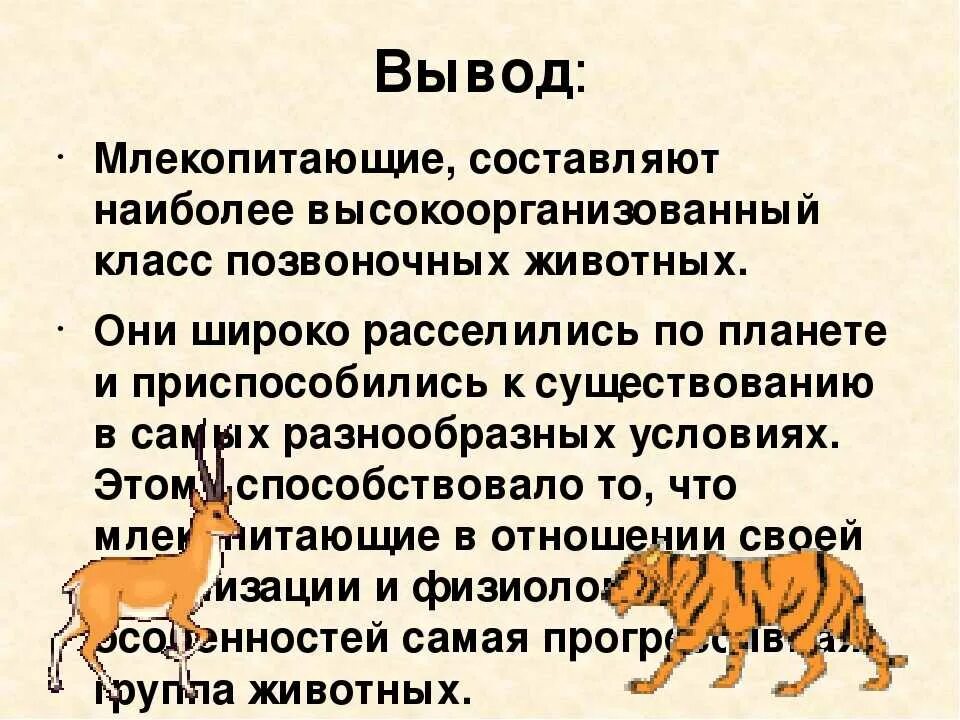 И человека и животное характеризуются. Млекопитающие строение многообразие. Презентация на тему млекопитающие. Вывод о млекопитающих. Отряд млекопитающих вывод.