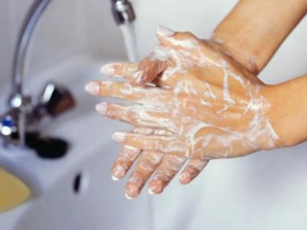 Мытье рук. Мойте руки перед едой. После проведения опытов необходимо тщательно вымыть руки. Мыло в мыльнице. Гигиена памяти правила.