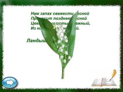 Как свежо пахнуть