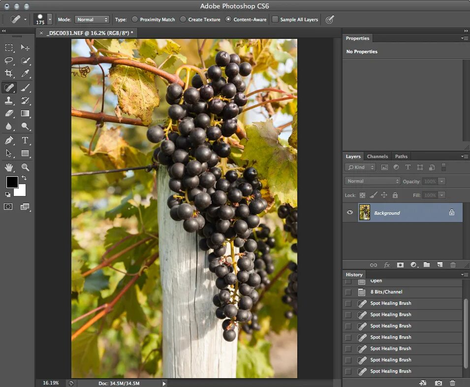 Sample all layers. Color lookup в фотошопе. цвета для фотошопа. sample all layers в фотошопе. photoshop выбора цветов.