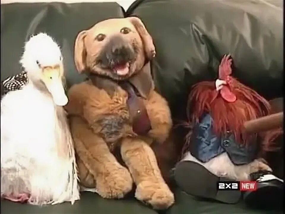 Un шлак un шлак. Фогги собака. un шлак кот. un шлак un шлак tv funhouse.