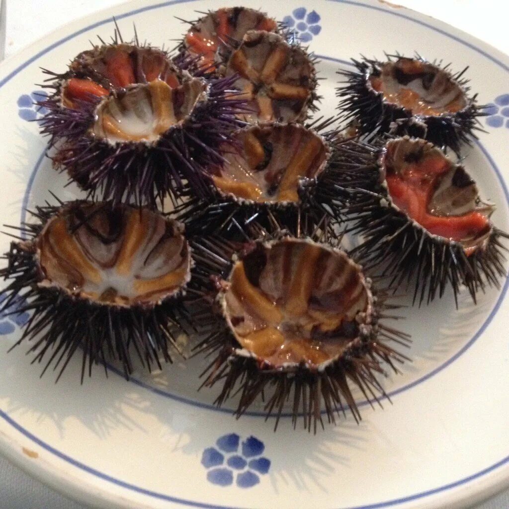 как правильно есть морского ежа. морской ёж филе. как правильно есть морского ежа. морской еж икра. токсопнеустес морской еж.