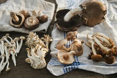 Collecting mushrooms